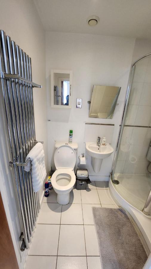 Luxury 2 Bed Apartment Excel Лондон Екстер'єр фото