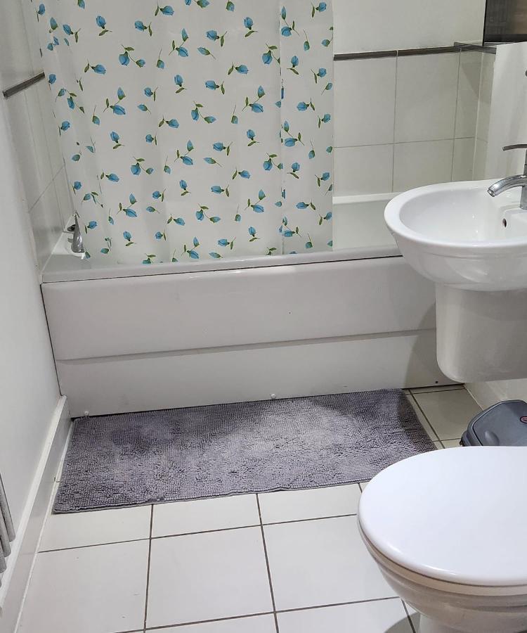 Luxury 2 Bed Apartment Excel Лондон Екстер'єр фото